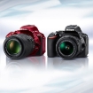 دوربین دیجیتال Nikon D5500 DSLR resmi